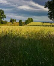 Landschaftsfotografie - Photo-Martin - Fotograf in Chemnitz