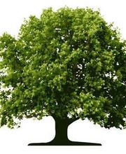 Pépinières Des Amognes image 1