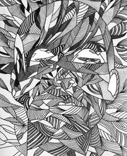 Zeichenkurse Bonn Bild 2