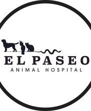 El Paseo Animal Hospital image 10