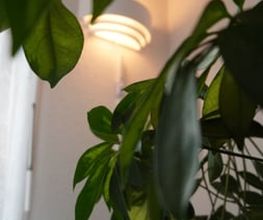 EinfachSmartHome KLG Bild 6