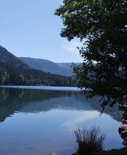 CAMPING LES JONQUILLES image 8