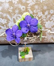 Nature Enchantée image 14