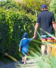Camping Zuiderduin