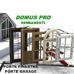 Domus Pro logo