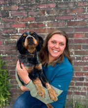 ClinicVet Vétérinaire La Feuillie image 2