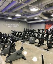 Gimnasio VivaGym Londres imagen 2