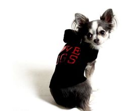 STILHUND Bild 8