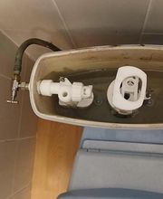 Quero image 1