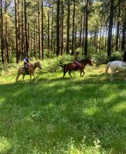 La Renarderie Equitation image 2