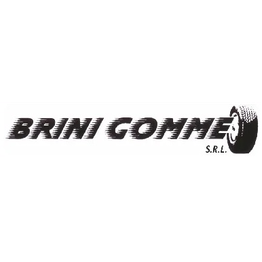 Brini Gomme S.r.l. logo