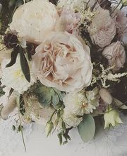 Hertig Fleurs Bild 4