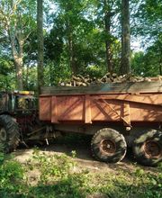 Nature Domestiquee image 8