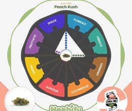 Herbify Cannabis Lovers Delivery immagine 4