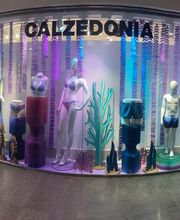 Calzedonia immagine 1