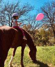 C Bonifacio Hypnose image 8