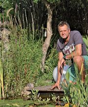 Krickow Garten- und Landschaftsbau Bild 2