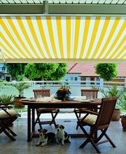 Markise gelb