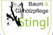 Baum & Gehölzpflege Stingl