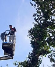 RS Elagages Services image 9