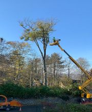 Guilaume Elagage image 1