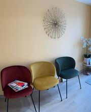 Lisito Delphine image 3