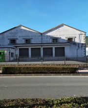 Vinos Ambiz imagen 4