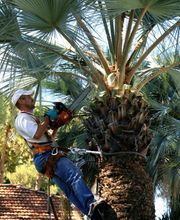 SARGIOTTO Didier & Fils image 10