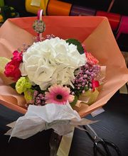 Terre De Couleurs image 3