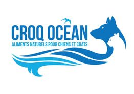 Croq Ocean