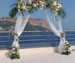Gypsophile image 10