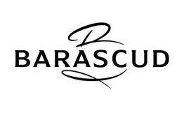 Barascud Cheminées