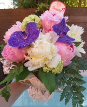 Lily R image 8