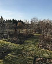 Hundeparadies Brandenburg Bild 4