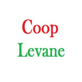 Di Comsumo per Il Popolo Levane  Societa' Cooperativa a R.L logo