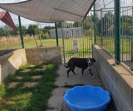 Patchou et Compagnie image 5
