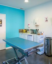 Clinique vétérinaire de Saint-Affrique - Sevetys image 2