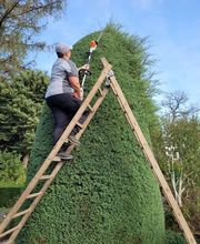 Gartenbau Reinhard AG Bild 4