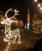 Restaurant Fischerhaus Bild 4