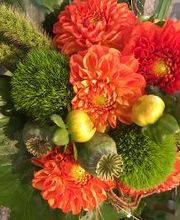 Blumen Fröschel Bild 1