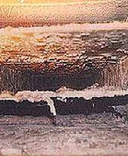 TCM Restoration image 7