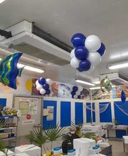 David Ballon Evolution image 13