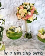 Le Plein Des Sens image 9