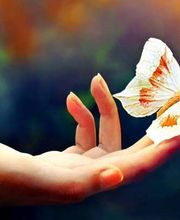 Perron Nadège image 4