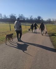 PAWtner Hundetraining Sabrina Rösch Bild 2
