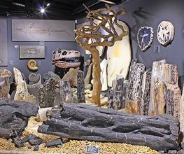 Welt der Kristalle Museum & Shop Bild 9