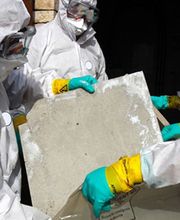 Les Champs Jouault image 2