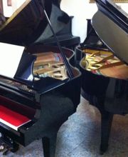 Gallery Cliente