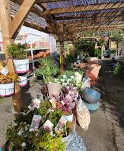 Bricomarché Brou image 8