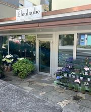 Blumengeschäft Efeulaube Bild 1